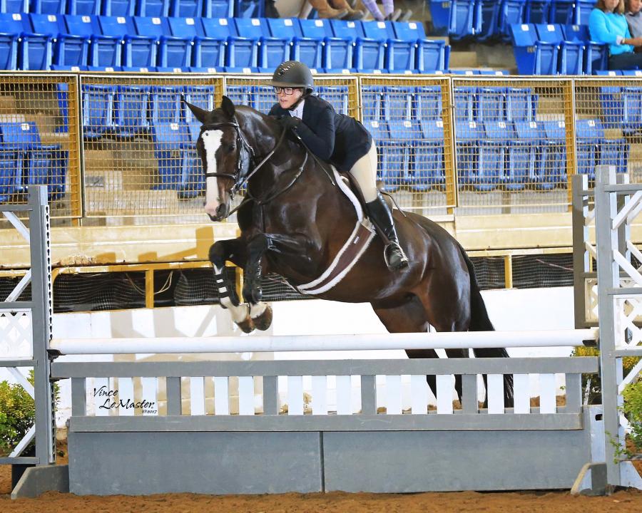 Colorado Hunter Jumper Association