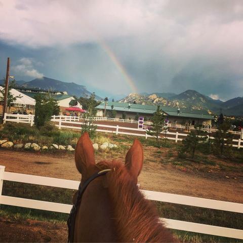 Rainbow Through the Horse's Ears